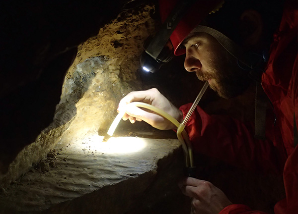 Grotte Comblain Etudes scientifiques Faune